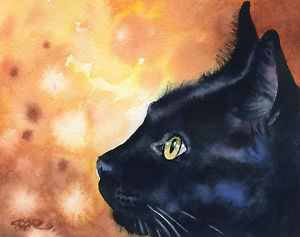 300x237 Black Cat Watercolor Painting 8 X 10 Art Print Signed By Artist