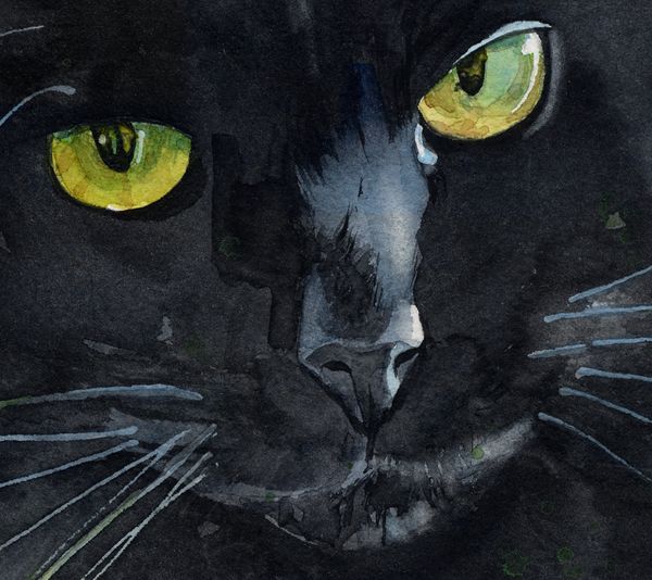 600x534 Giclee Print Black Cat Watercolor Painting Art Long Hair Pet