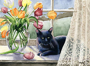 300x221 Black Cat Tulips Cat Watercolor 8 X 10 Art Print Signed Dj Rogers