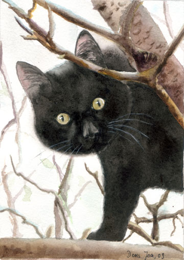 360x508 Black Cat Sitting In A Tree