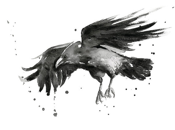 570x424 Flying Raven Watercolor Art Print, Raven Art, Raven Decor, Raven