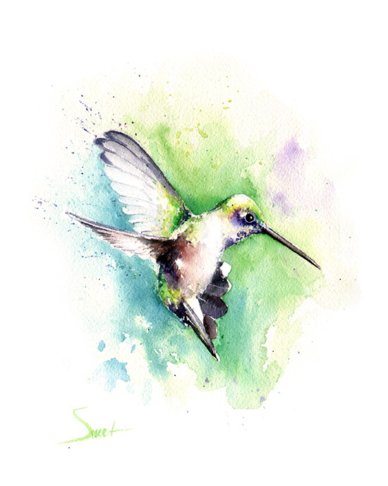 550x688 Black Chinned Hummingbird Watercolor Print Watercolor Animal