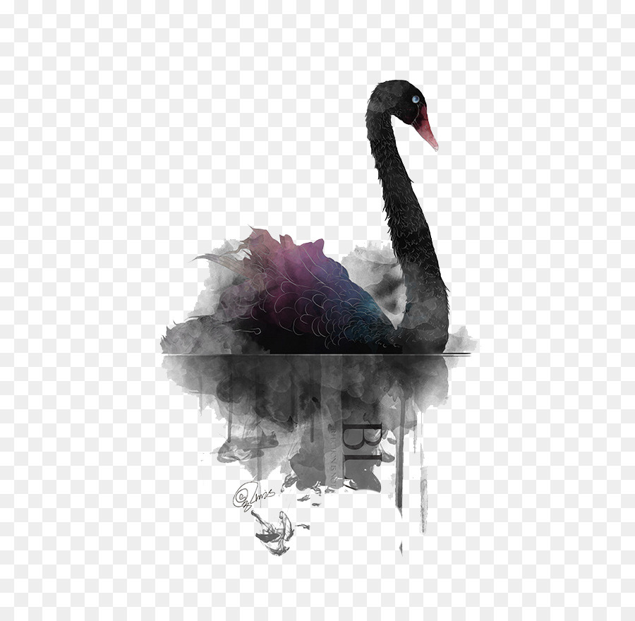 900x880 Download Black Swan Painting Simple Black Watercolor Swan