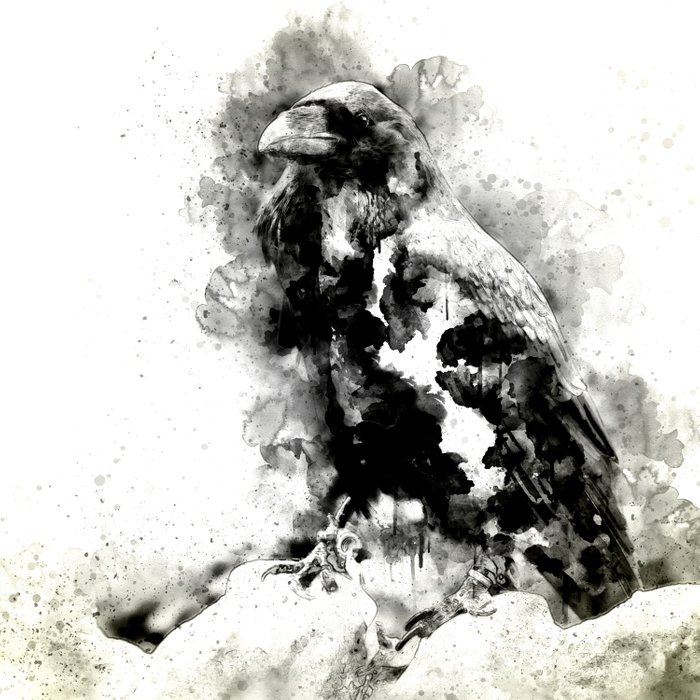 700x700 Watercolor Crow, Black And White Crow, Crow Painting, Cool Crow