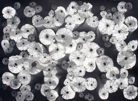 475x346 Marsha Mateyka Artists