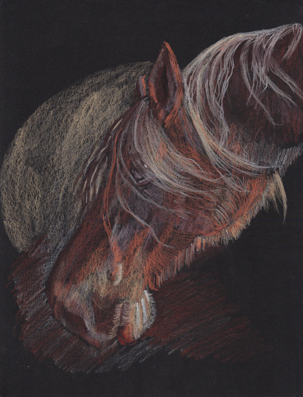 611x800 My Horses On Black Paper