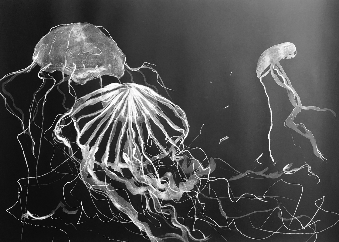 1117x798 30 X 44 Acrylic And Pastel Jellyfish Study On Black Watercolor