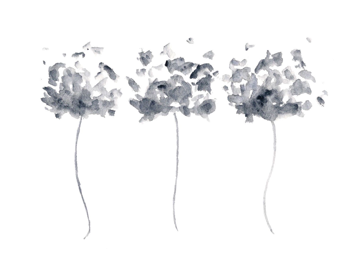 1500x1071 Watercolor Flower Painting, Watercolor Poppies, Black And White