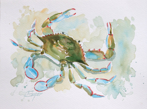 570x423 Fine Art Print Of Blue Crab Watercolor Painting By Patrick Soper
