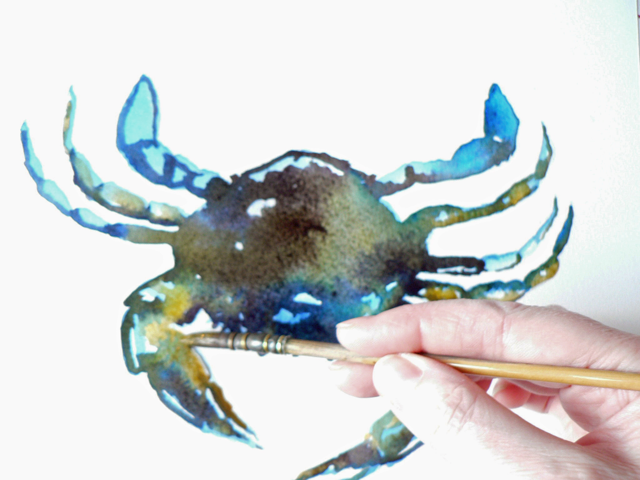 2048x1536 How To Paint A Watercolour Crab Alison Fennell Art