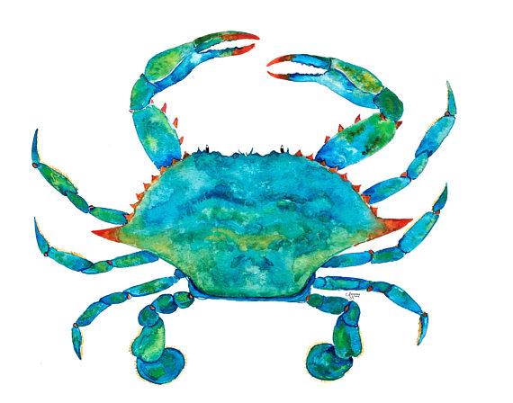 570x448 Blue Crab 2 Watercolor Print (2) One Hundred Miles