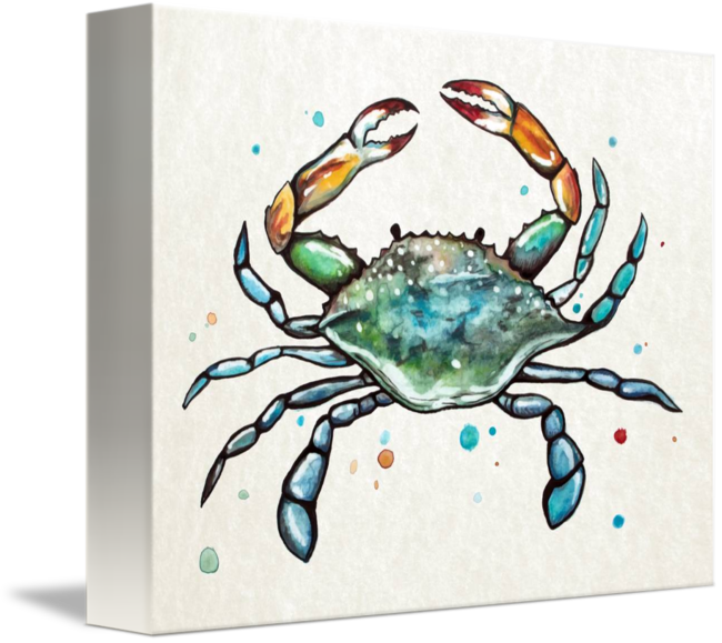 650x579 Maryland Blue Crab In Watercolor By Cheryl Marie