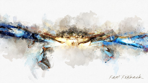 498x279 Watercolor Blue Crab