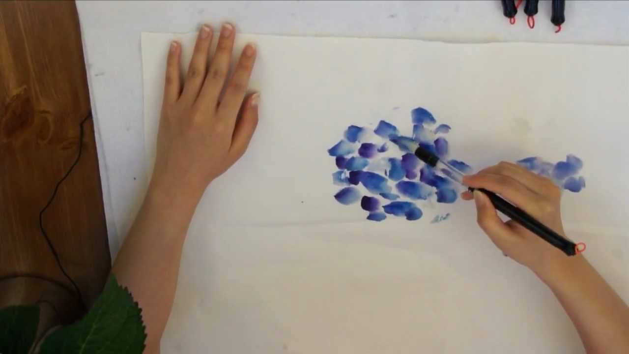 1280x720 Blue Hydrangea Watercolor Doodle On Cotton Xuan Rice Paper By Amy