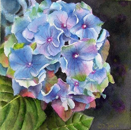 510x507 Blue Hydrangea Watercolor Painting Print By Dorisjoa On Etsy