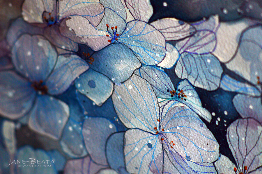900x599 Blue Hydrangea, Watercolor Painting