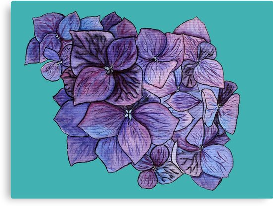550x415 Blue Hydrangea Flower Watercolor Canvas Prints By Kateryna
