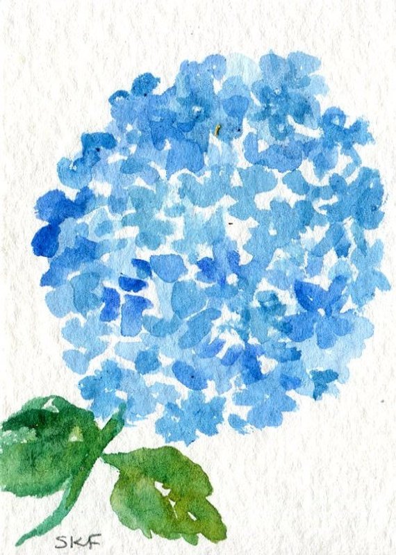 570x799 Aceo Original Blue Hydrangea Watercolor Painting Art Card Etsy