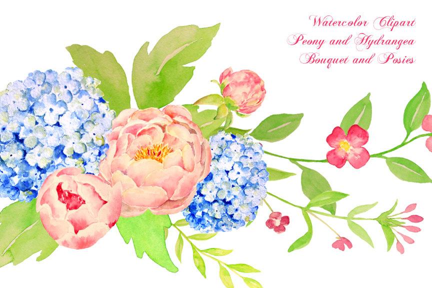 864x576 Watercolor Peony And Blue Hydrangea Bouquet, Peony Floral