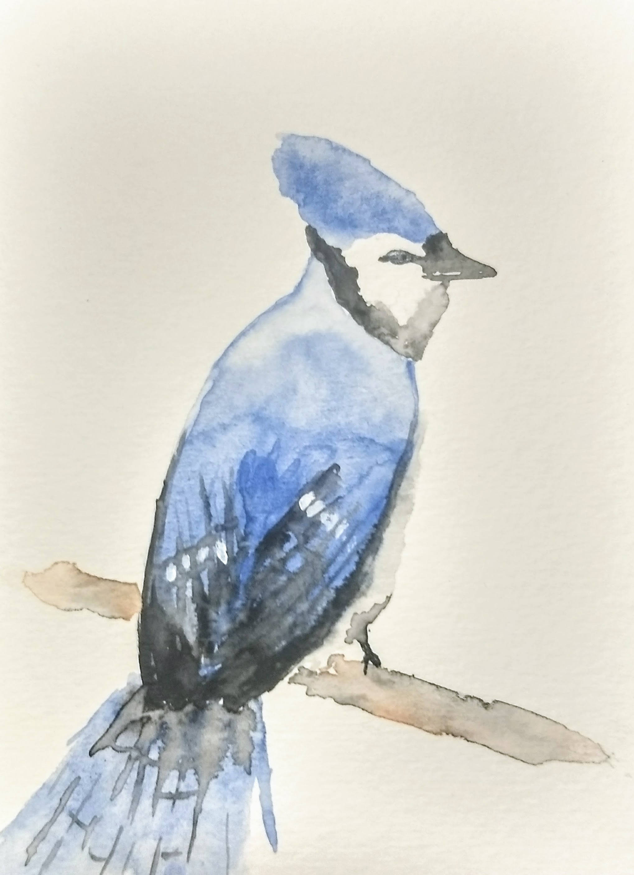 2038x2815 Blue Jay Watercolor Etsy