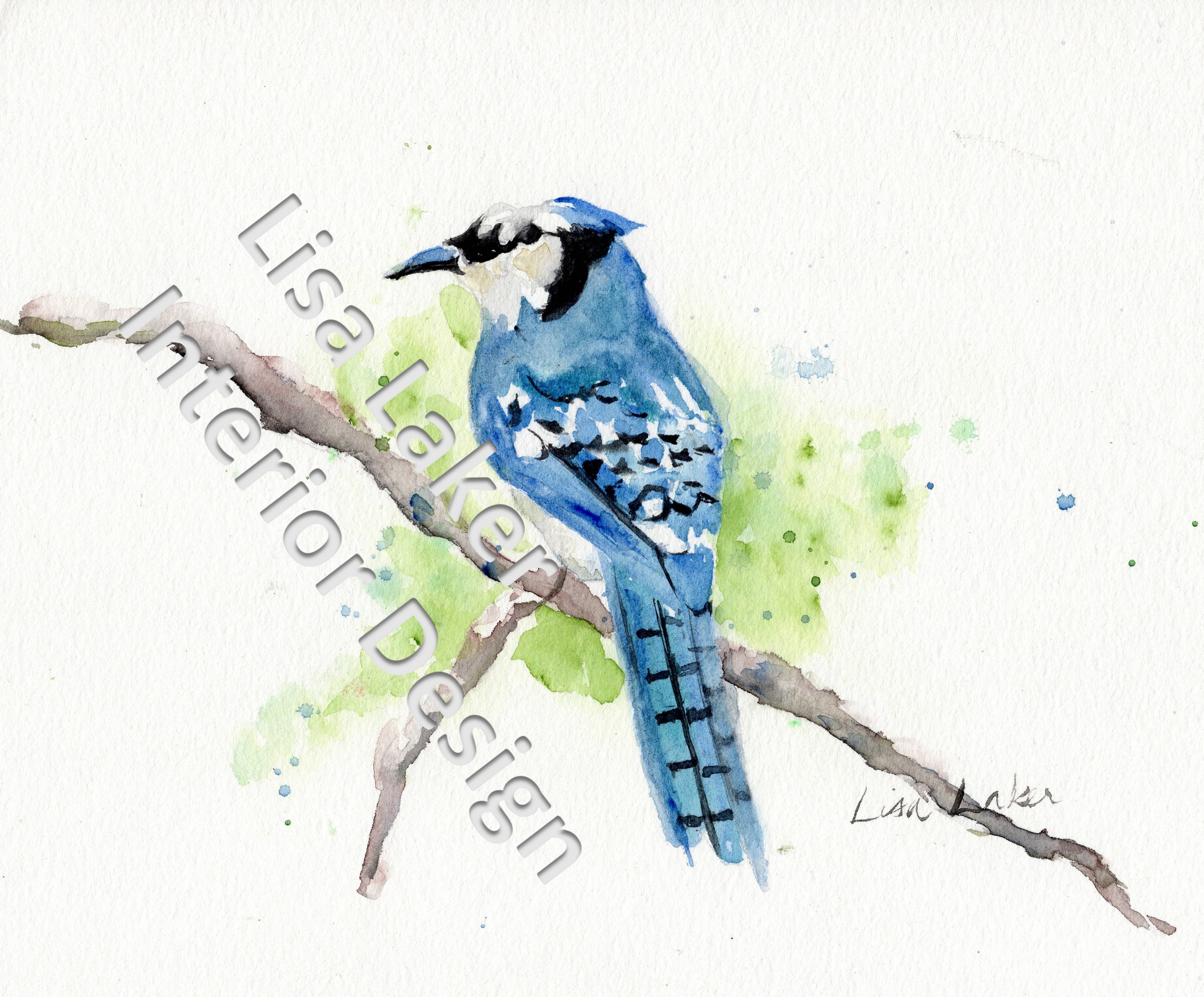 5271x4365 Blue Jay Watercolor Print Download