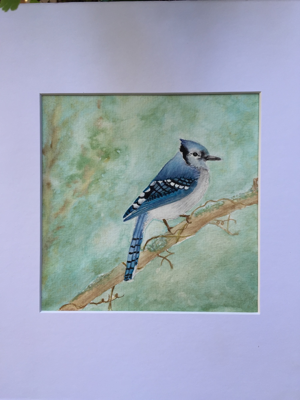 1000x1333 Original Watercolor Blue Jay Free Hearts Art
