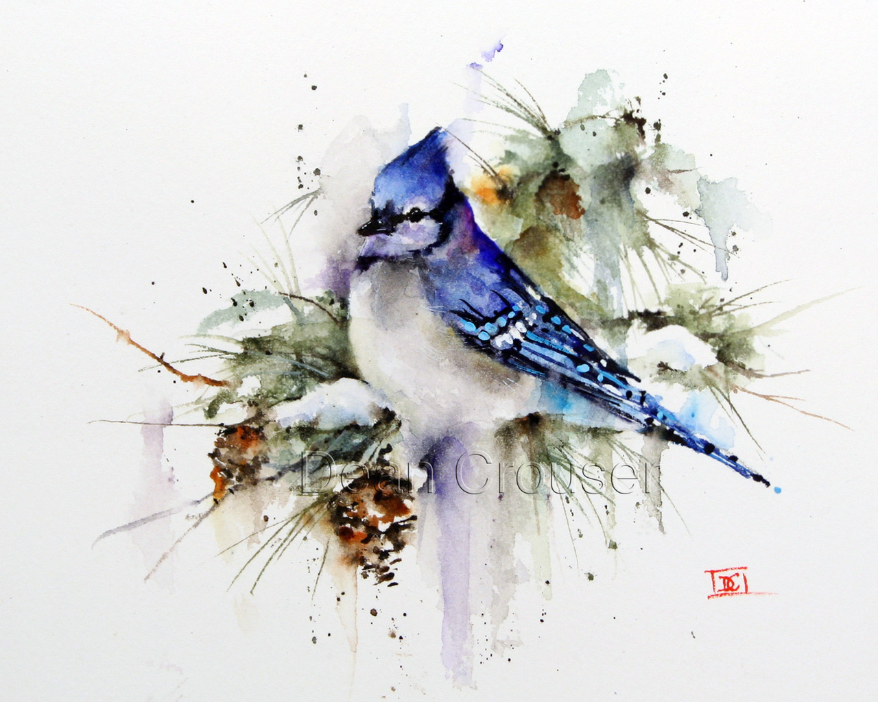 1280x1024 Winter Bluejay