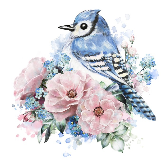 700x691 Watercolor Flowers, Rose With Me Nots And Blue Jay. Floral