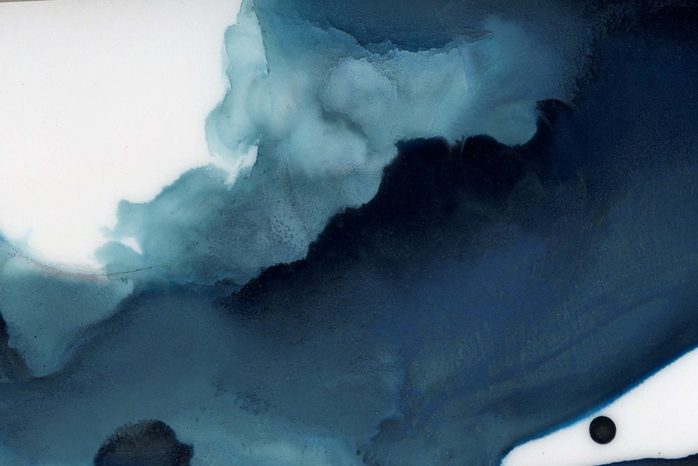 1000x667 Bold Watercolor Black Crow Studios