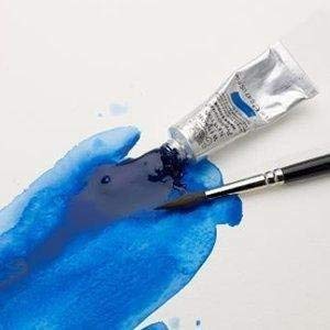 300x300 Winsor Amp Newton Professional Water Colour Paint, 5ml