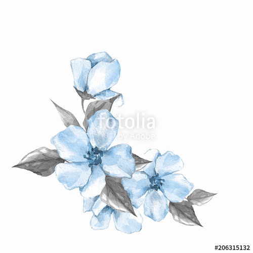 500x500 Blue Watercolor Flowers. Floral Branch, Isolated On White