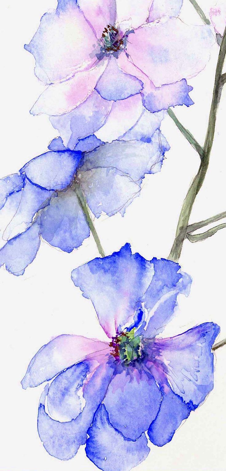 736x1535 Blue Watercolor Flowers Still Lifes