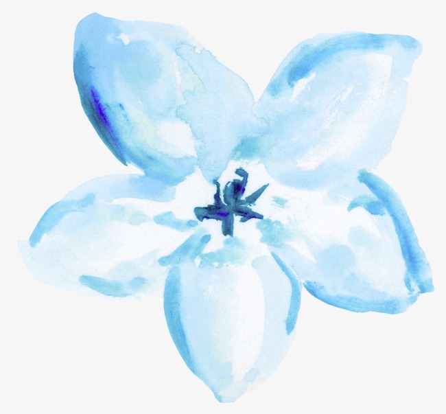 650x603 Blue Watercolor Flowers, Watercolor Clipart, Watercolor Flowers