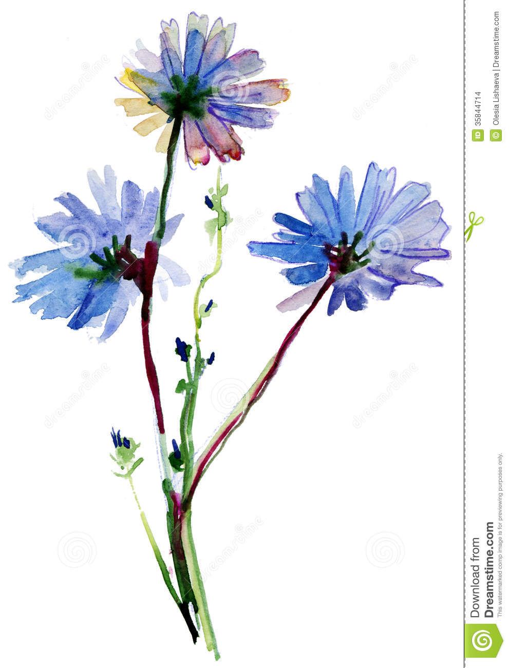 993x1300 Blue Watercolor Flowers