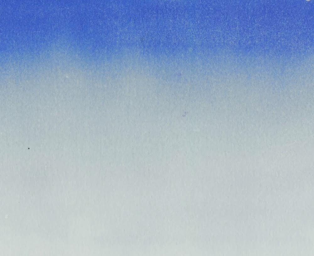 1000x815 Sally Meding