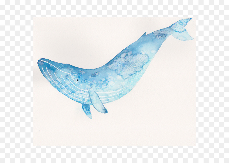 900x640 Blue Whale Watercolor Painting Art
