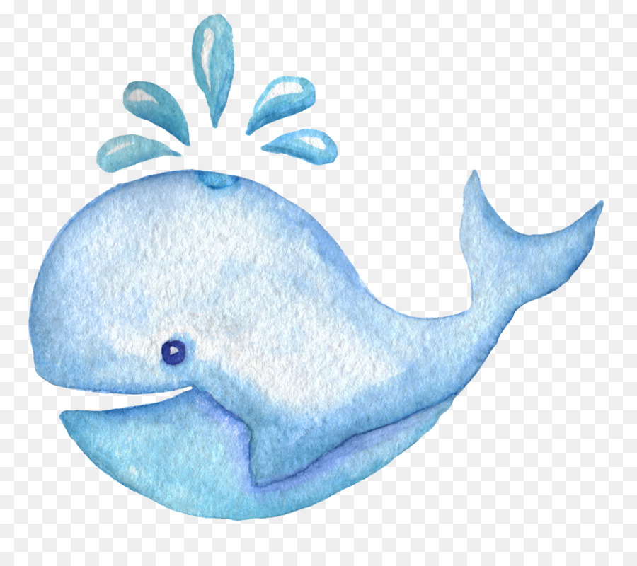 900x800 Download Whale Cartoon Blue Whale Spray Watercolor Picture