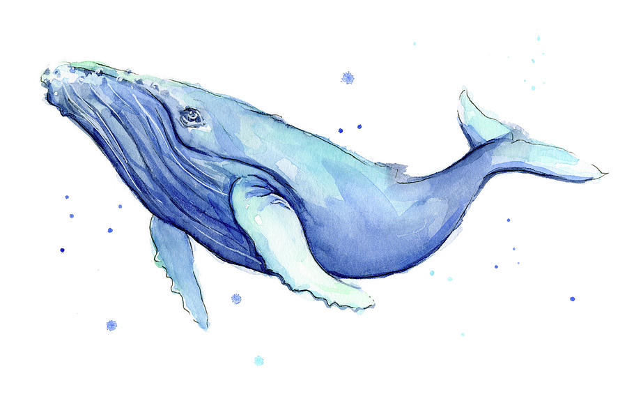 900x585 Humpback Whale Watercolor Painting By Olga Shvartsur