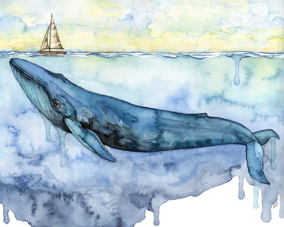 997x799 Watercolor Painting, Whale Painting, Whale Print, Whale Art, Blue