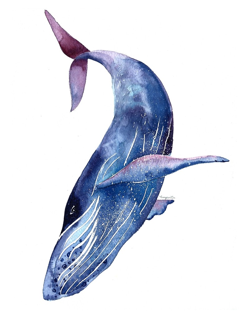 800x1000 Whale Art, Watercolor Whale, Blue Whale, Purple Whale Graphic T
