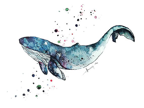 570x428 Art Print Watercolor Blue Whale Home Decor Ocean Art Print Etsy