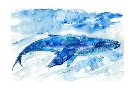 473x315 Big Blue Whale And Water.watercolor Hand Drawn Illustration