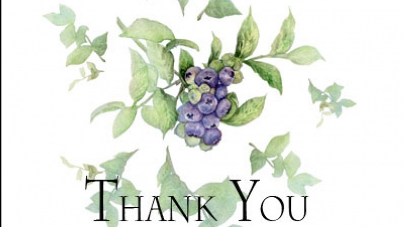 800x450 Blueberry Watercolor Thank You Olga Skillshare Projects
