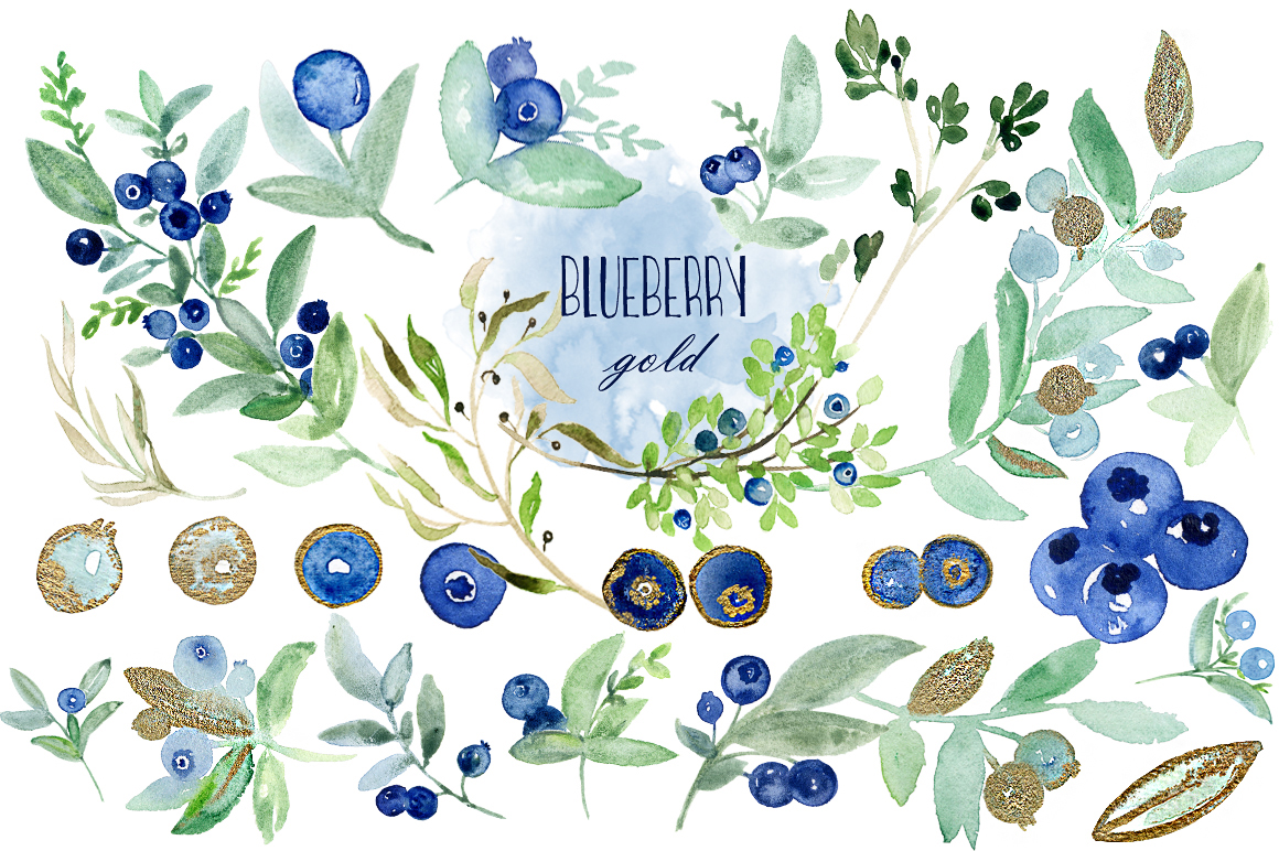 1160x772 Blueberry Gold. Watercolor Clipart. By Labfcreations