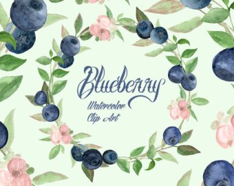 340x270 Blueberry Watercolor Etsy