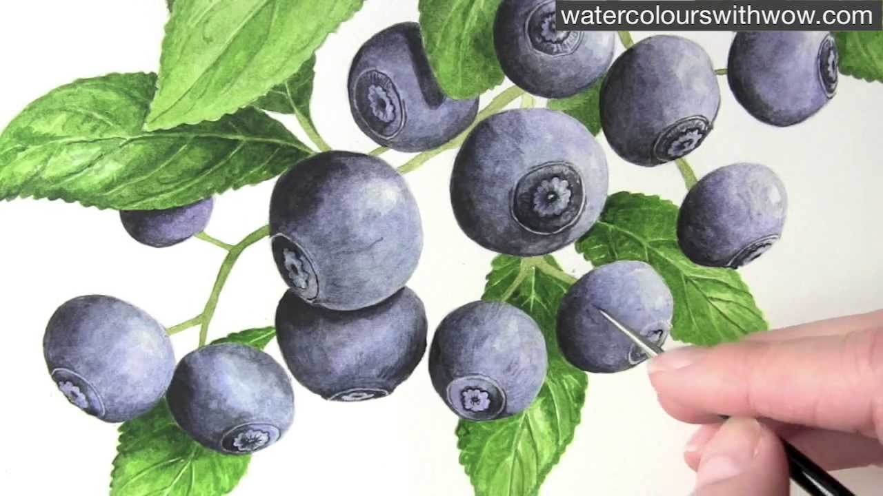 1280x720 How To Paint Fruit In Watercolor