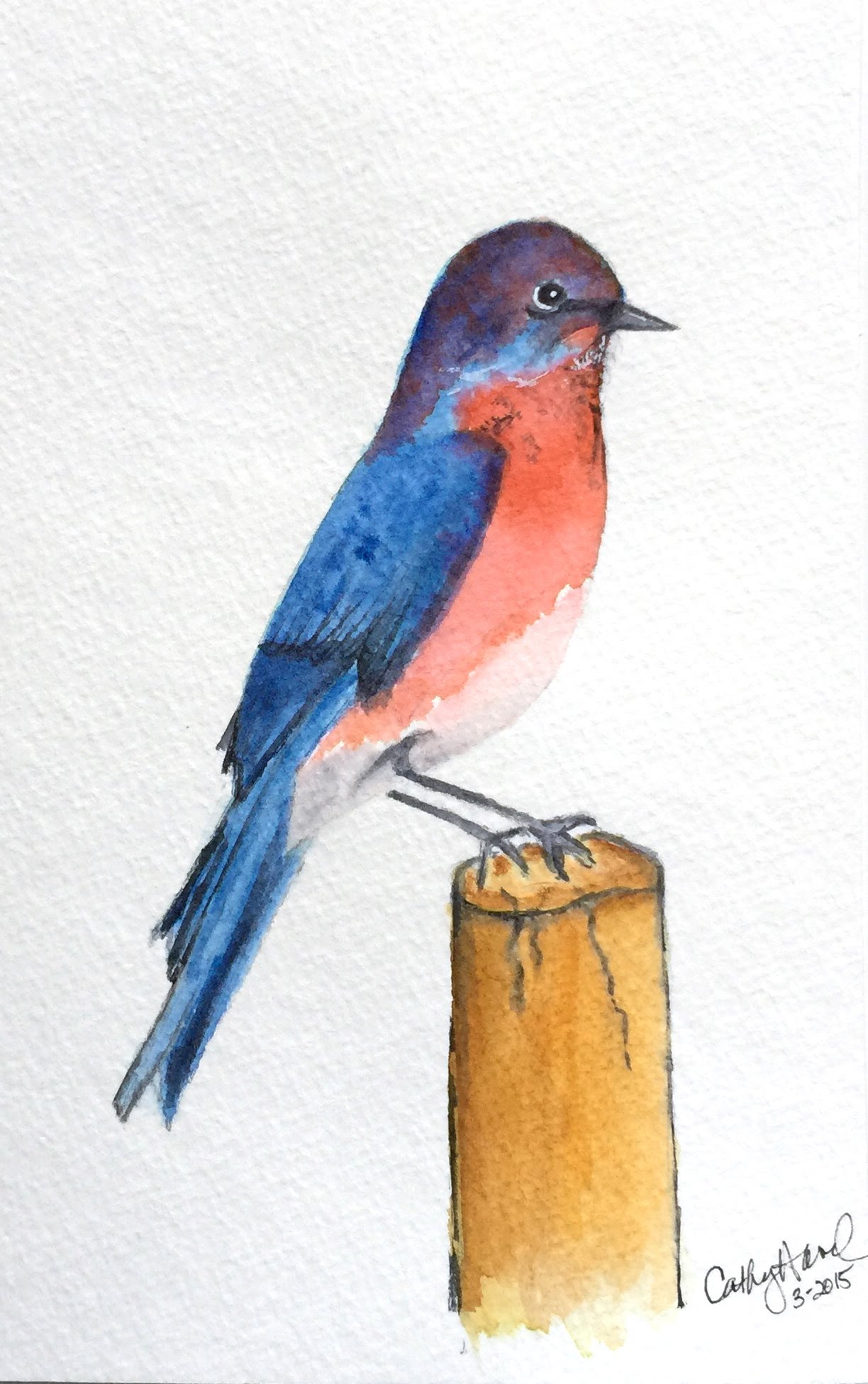 1224x1951 Bluebird In Watercolor