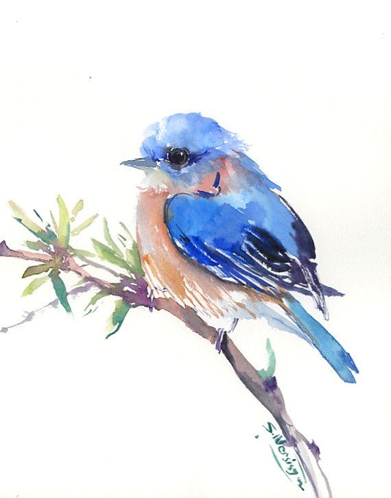 570x725 Eastern Bluebird, Original Watercolor Painting, 10 X 8 In
