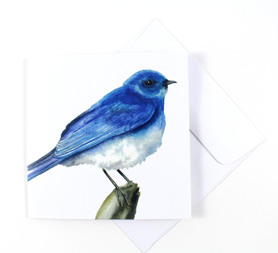 1060x963 Mountain Bluebird Watercolor Card Laura Ashton Illustration Amp Design