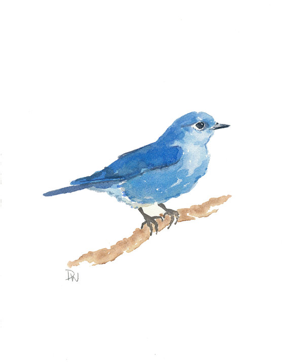 570x713 Original Bird Watercolor